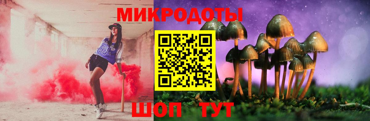 Галлюциногенные грибы прущие грибы  Вход с VPN  Северобайкальск 